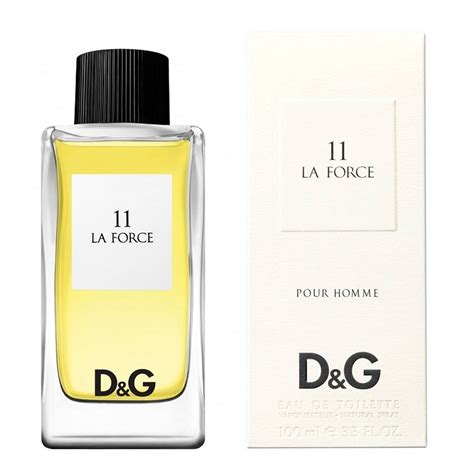 11 la force dolce gabbana